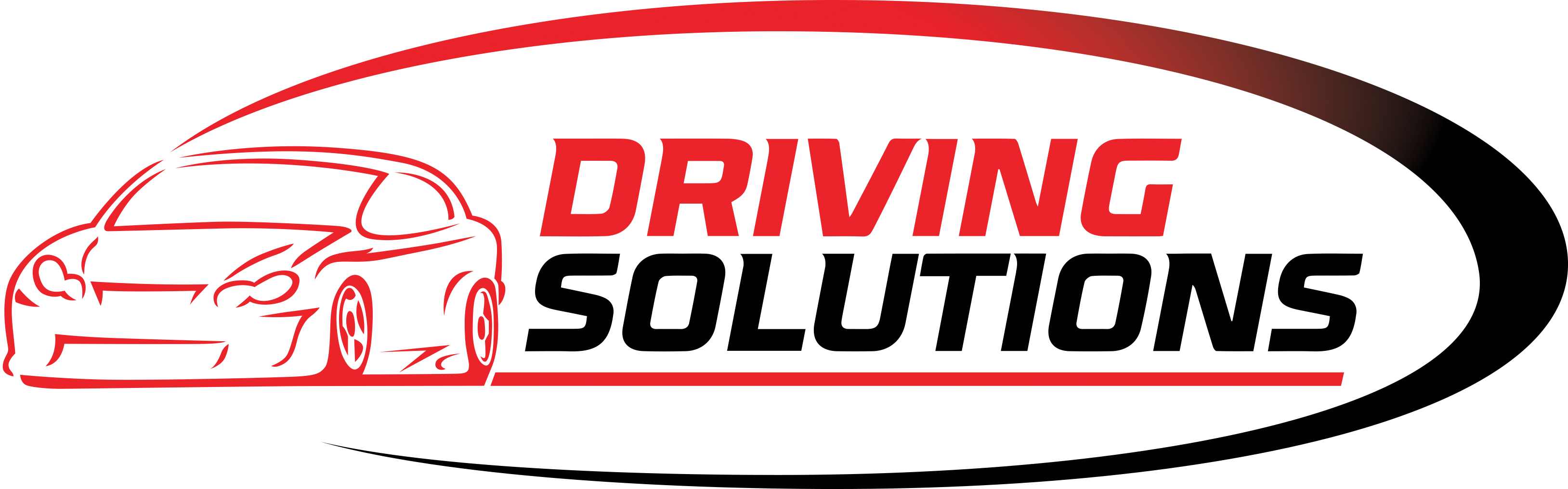 driving-solutions-logo